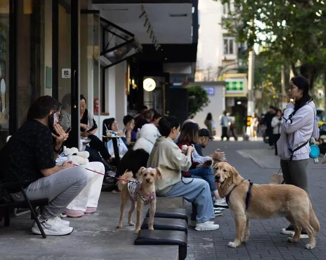 抛弃了双11爱上了“老年严选”AG真人国际游戏这届脆皮年轻人(图15)